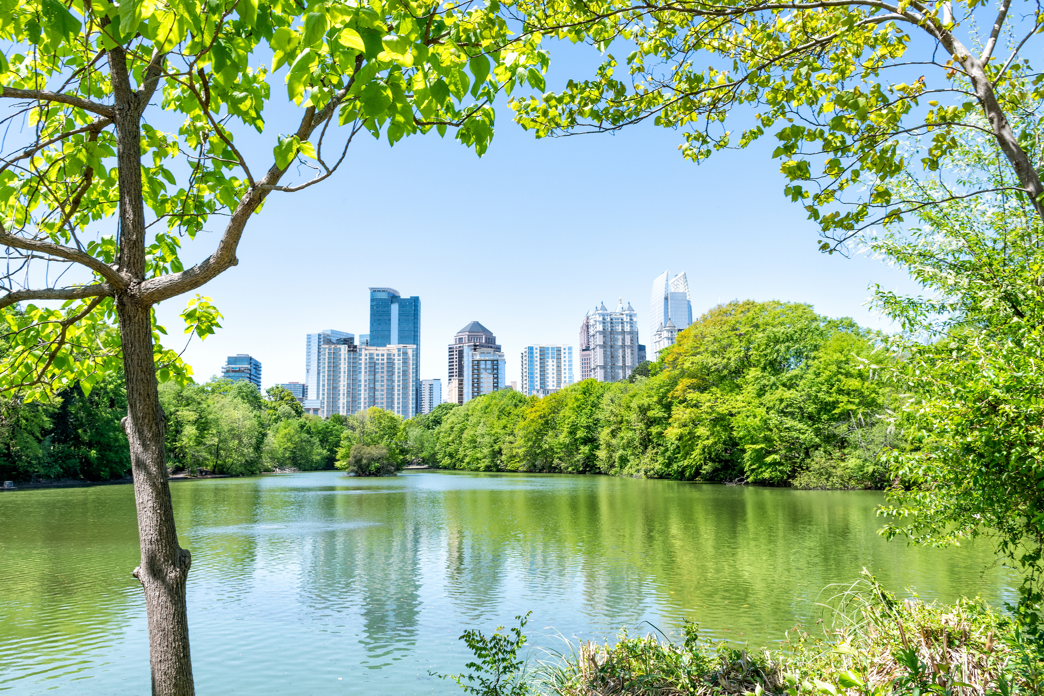 Atlanta skyline view from Piedmont Park - moving to Atlanta Georgia